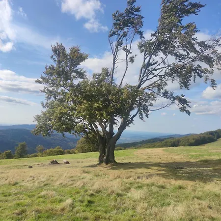 Limoni Πανσιόν Brenna