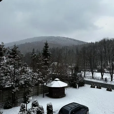 Affittacamere Limoni *