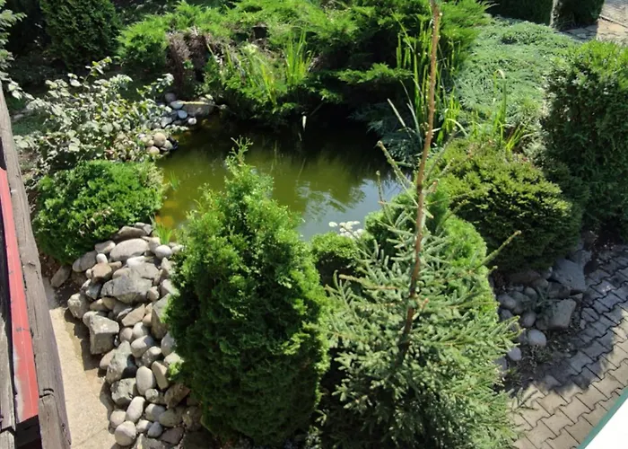 Limoni Guest house *