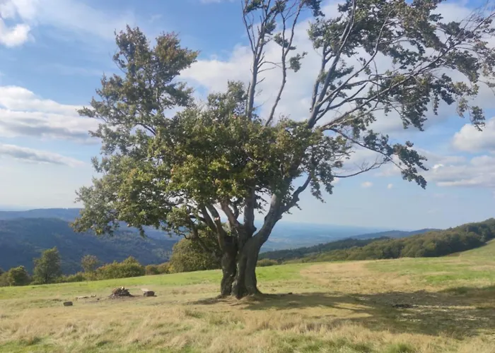 Limoni Maison d'hôtes Brenna